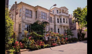 GÜNÜBİRLİK İSTANBUL ADALAR TURU