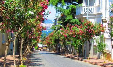 GÜNÜBİRLİK İSTANBUL ADALAR TURU