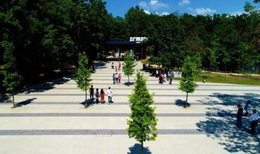 GÜNÜBİRLİK SAPANCA MAŞUKİYE ORMANYA TURU
