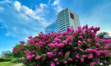 BULGARİSTAN GOLDENSANDS DENİZ TATİLİ 5* INTERNATIONAL HOTEL & CASİNO TOWER (YARIM PANSİYON) 4 GECE 5 GÜN  (ÜCRETSİZ ULAŞIM)